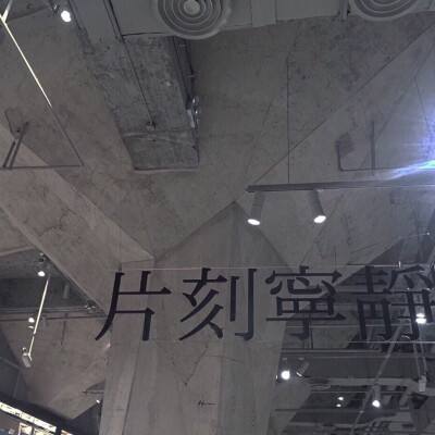 天天战机叶罗丽手机版下载