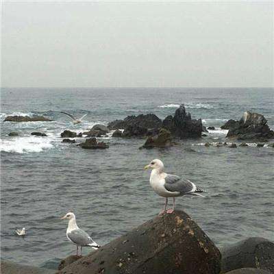 矩阵空间游戏
